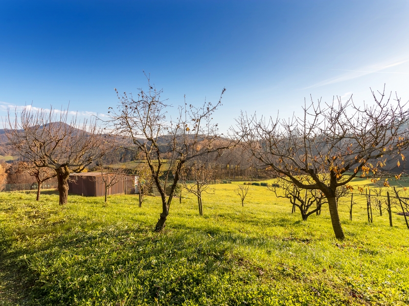 Trescore Balneario, quadrilocale in posizione pedecollinare